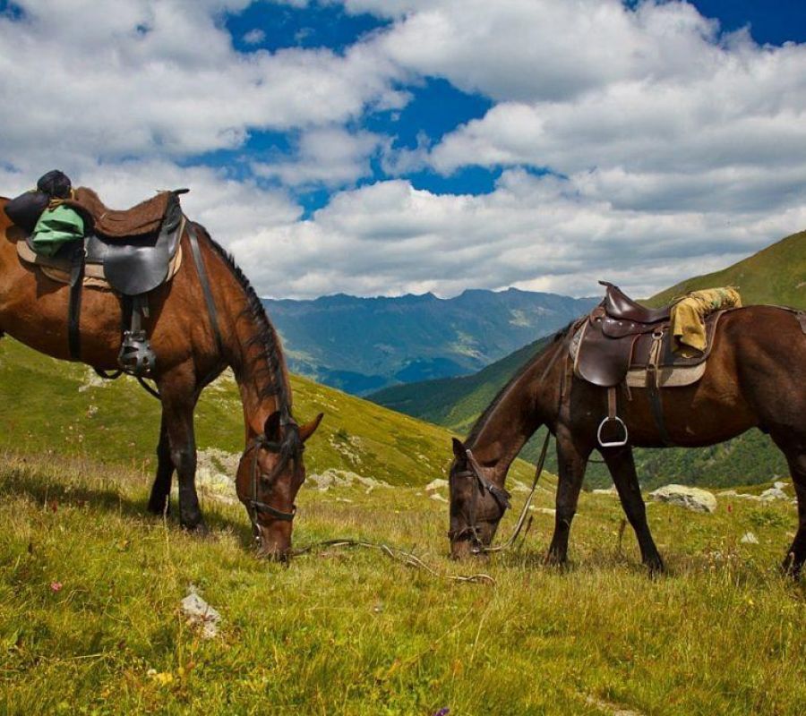 Осенние оттенки Архыза